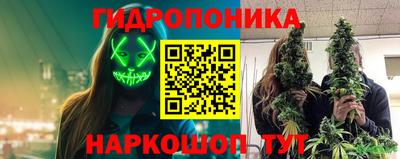 трава Будённовск
