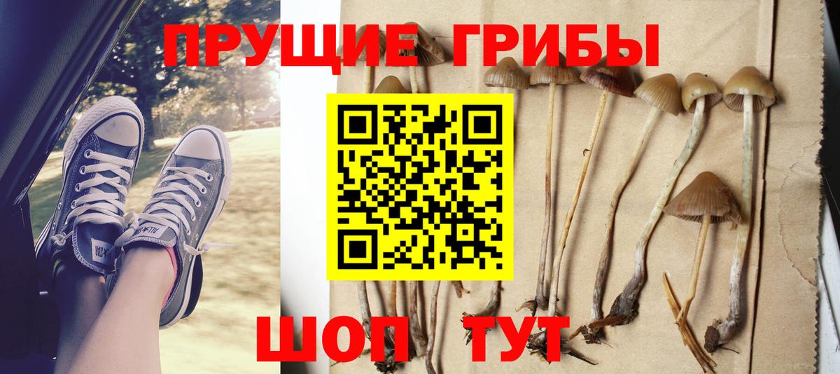 Галлюциногенные грибы GOLDEN TEACHER  Вход с VPN  Тайшет 